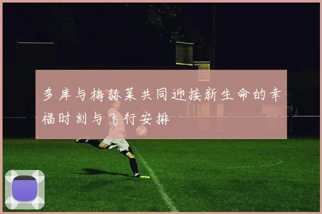 多库与梅赫莱共同迎接新生命的幸福时刻与飞行安排