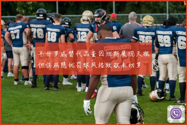 平价罗威替代品奎因坦斯展现天赋但伤病隐忧罚球风格致敬米切罗